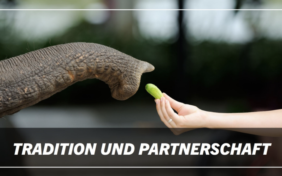 Das Unternehmernachfolge-Weekly: KW50